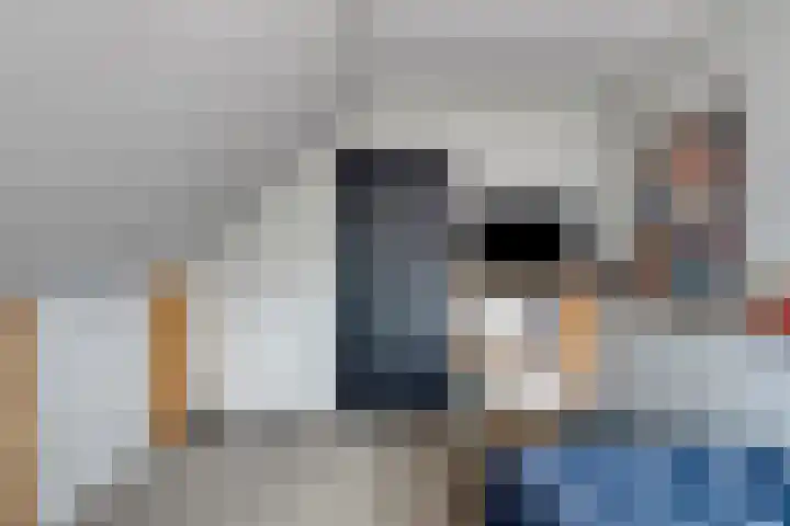 Waterzwaluw 3 Veenendaal thumbnail 28