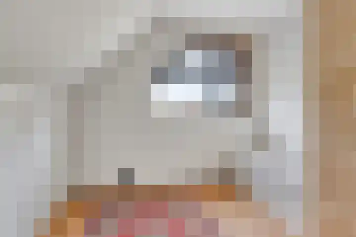 Waterzwaluw 3 Veenendaal thumbnail 30