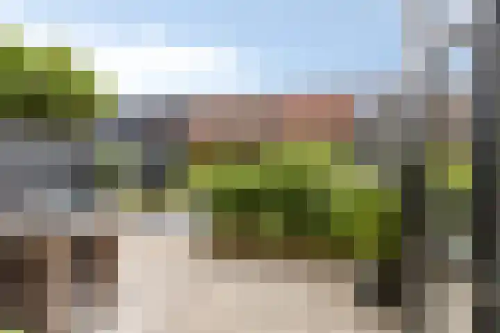 Waterzwaluw 3 Veenendaal thumbnail 32