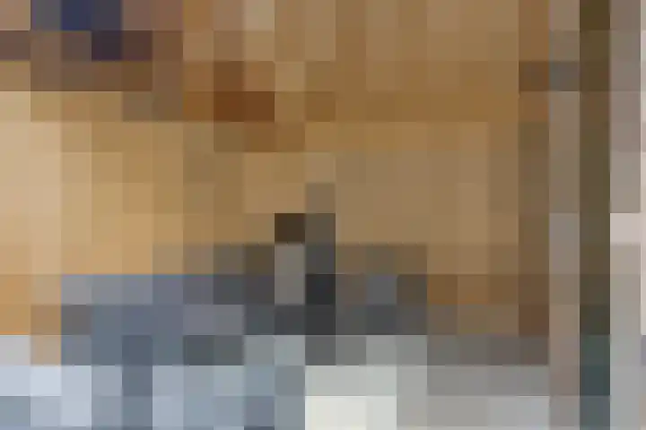 Waterzwaluw 3 Veenendaal thumbnail 33