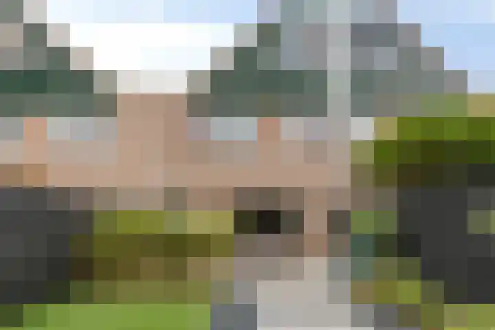 Waterzwaluw 3 Veenendaal thumbnail 34