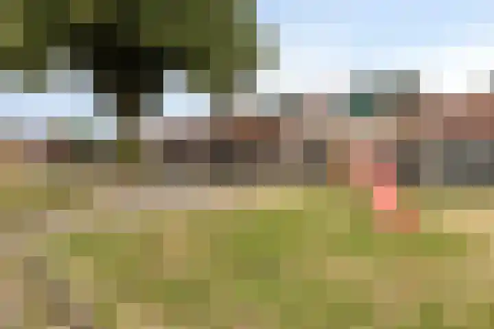 Waterzwaluw 3 Veenendaal thumbnail 35
