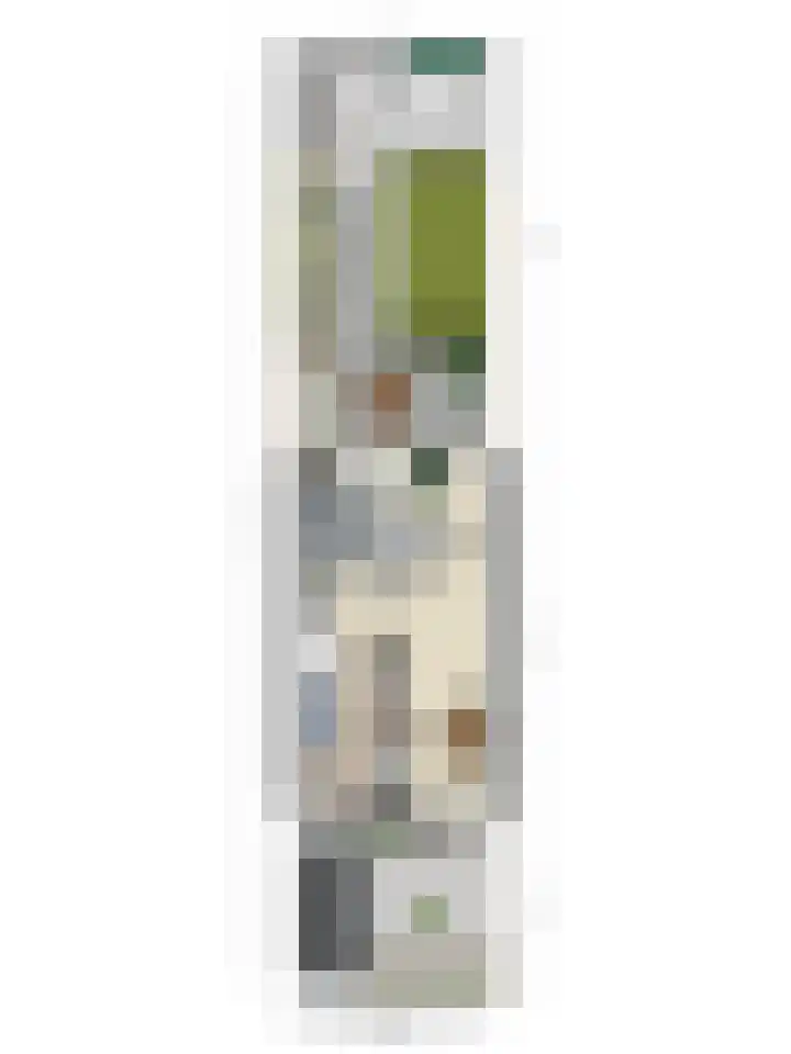 Waterzwaluw 3 Veenendaal thumbnail 36