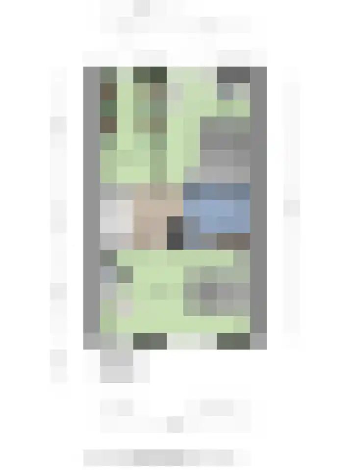 Waterzwaluw 3 Veenendaal thumbnail 38