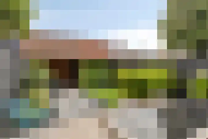 Waterzwaluw 3 Veenendaal thumbnail 5