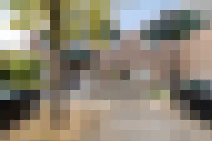Waterzwaluw 3 Veenendaal thumbnail 6