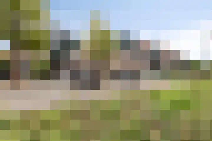 Waterzwaluw 3 Veenendaal thumbnail 7