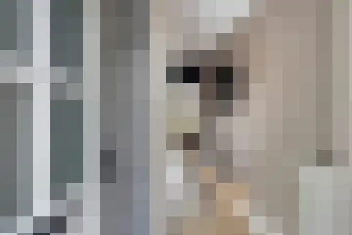 Waterzwaluw 3 Veenendaal thumbnail 8