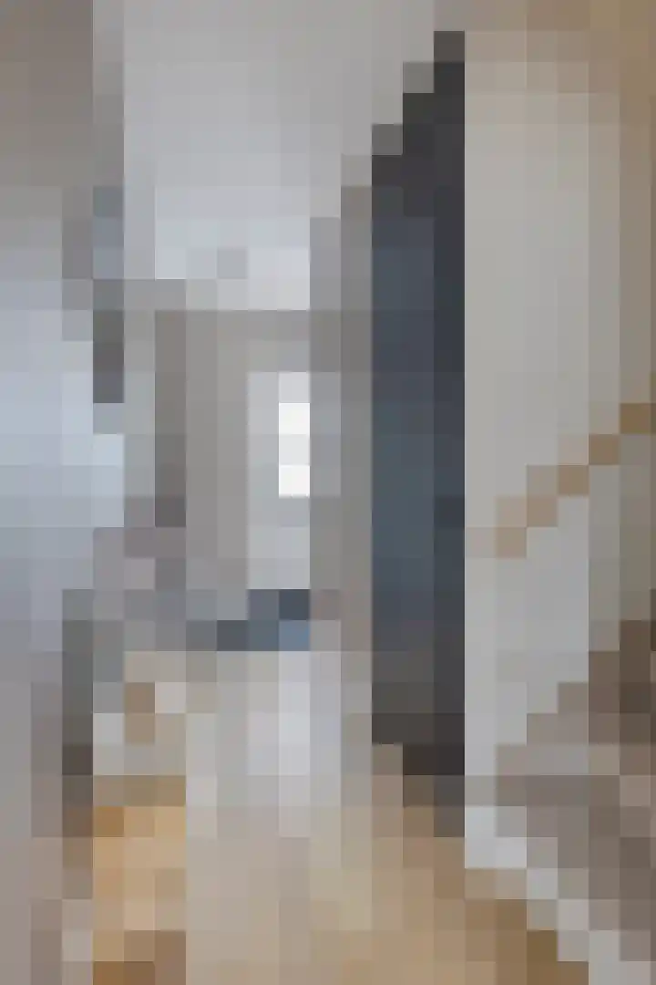 Waterzwaluw 3 Veenendaal thumbnail 9