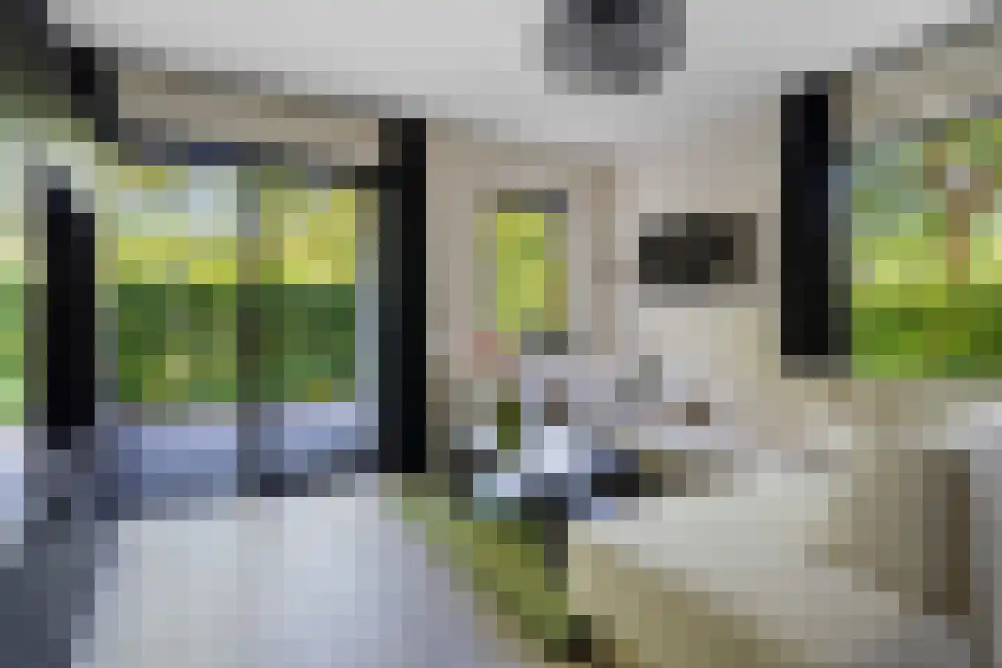 Wattbaan 2 1 Nieuwegein thumbnail 11