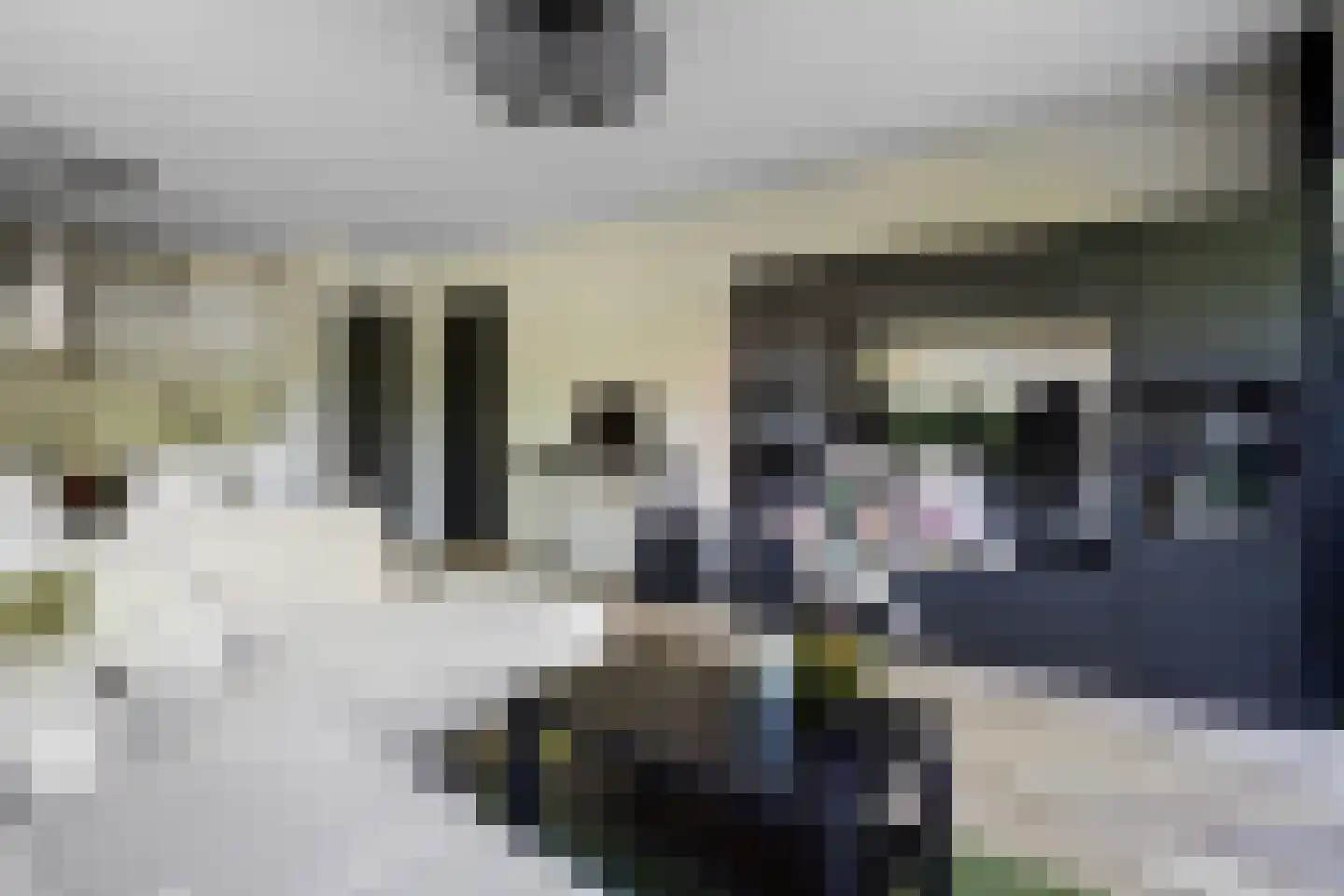 Wattbaan 2 1 Nieuwegein thumbnail 13