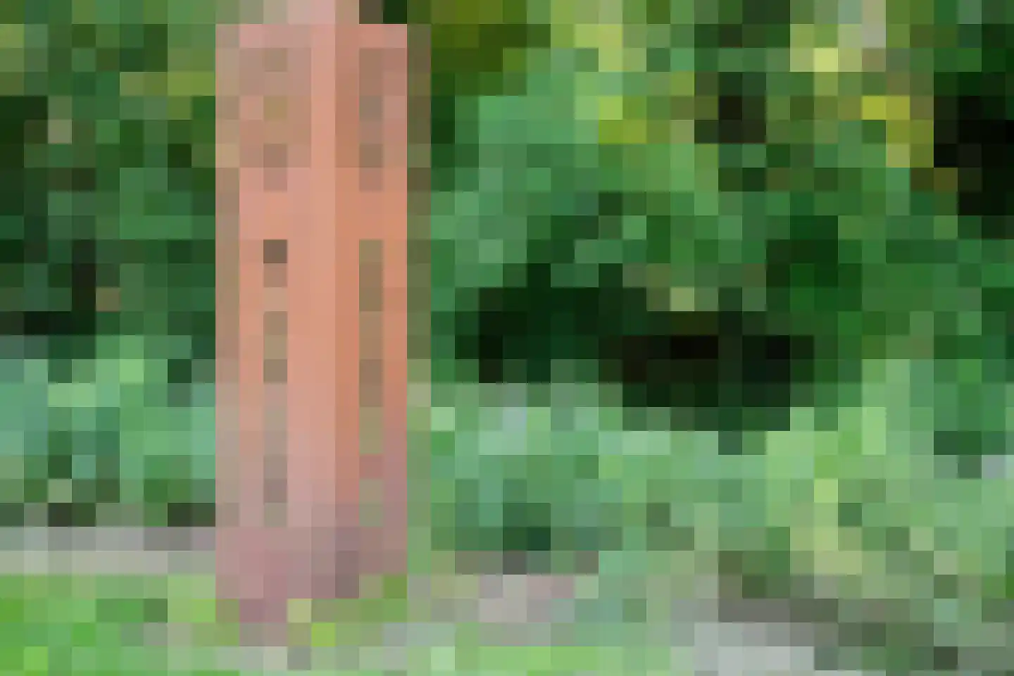 Wattbaan 2 1 Nieuwegein thumbnail 35