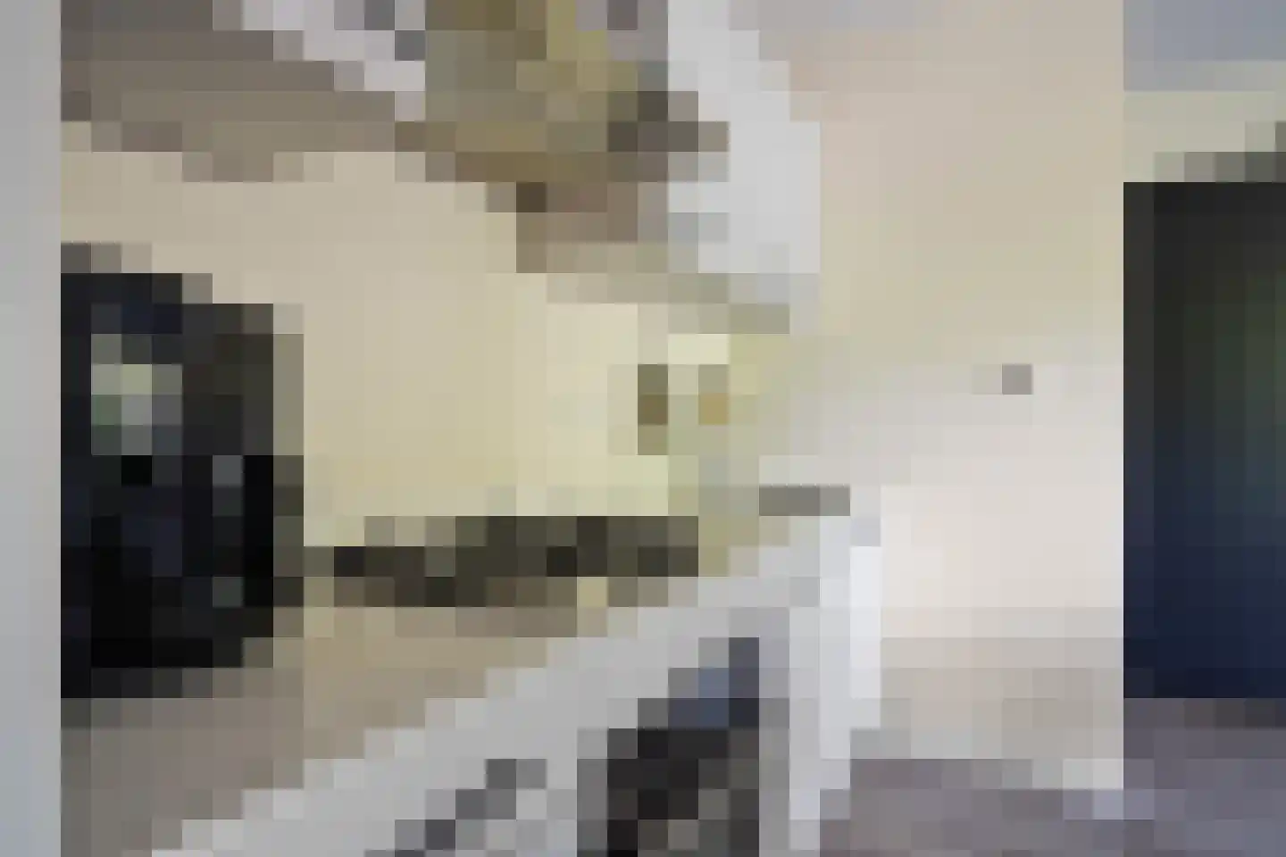 Wattbaan 2 1 Nieuwegein thumbnail 5