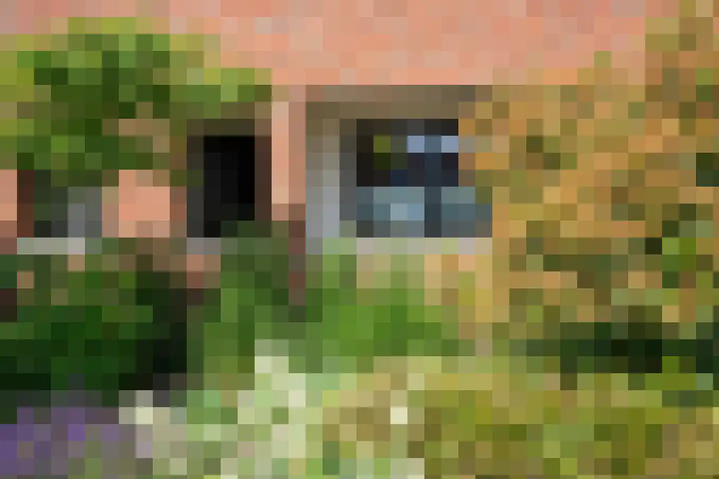 Wattbaan 2 1 Nieuwegein thumbnail 9