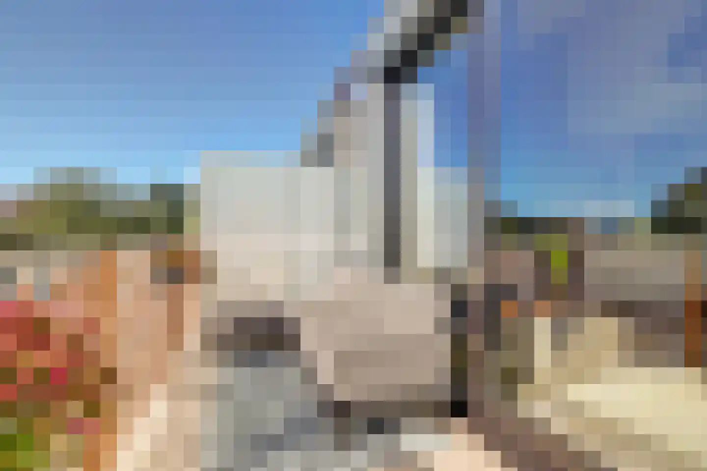 Wattbaan 2 24 Nieuwegein thumbnail 37
