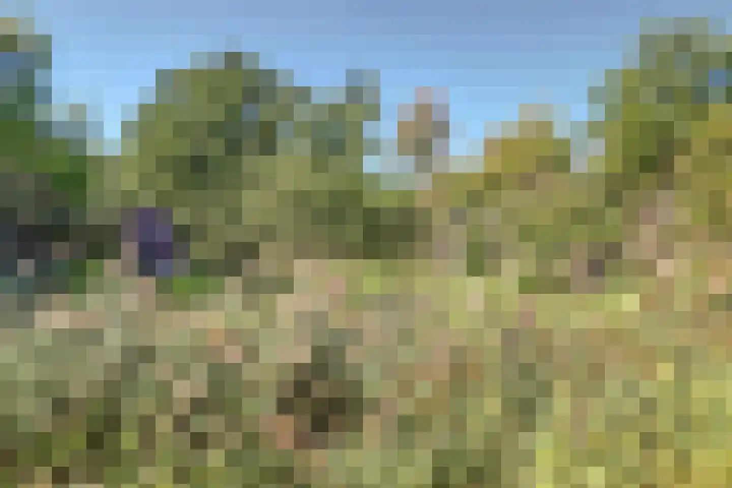 Wattbaan 2 24 Nieuwegein thumbnail 47