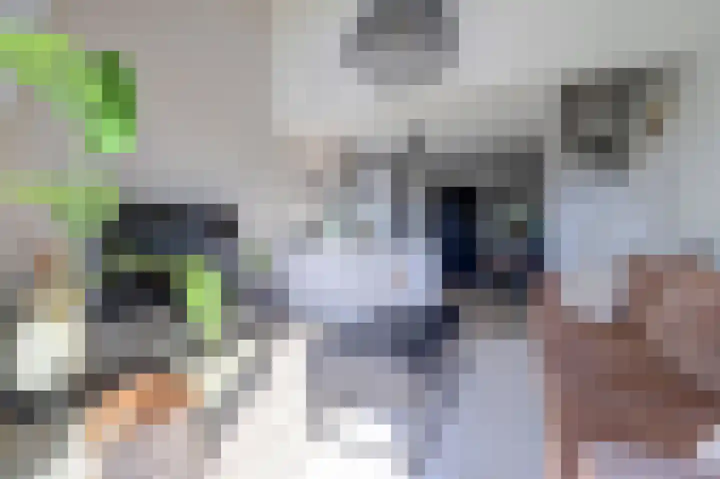 Wattbaan 2 24 Nieuwegein thumbnail 7