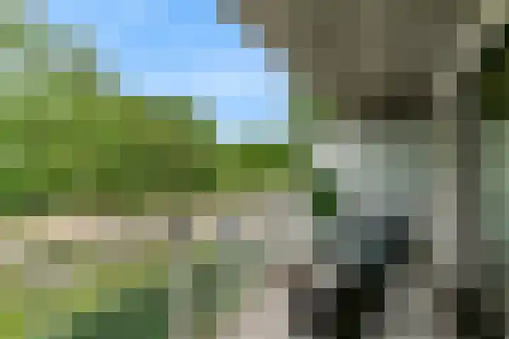 Wattbaan 2 6 Nieuwegein thumbnail 19
