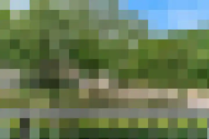 Wattbaan 2 6 Nieuwegein thumbnail 20