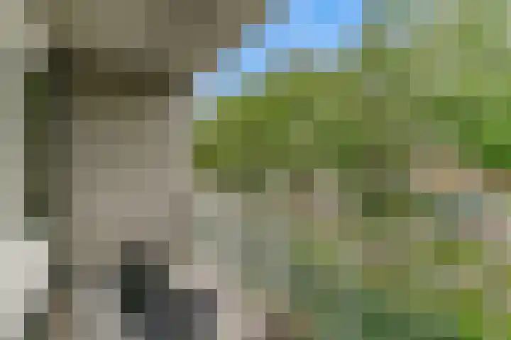 Wattbaan 2 6 Nieuwegein thumbnail 21