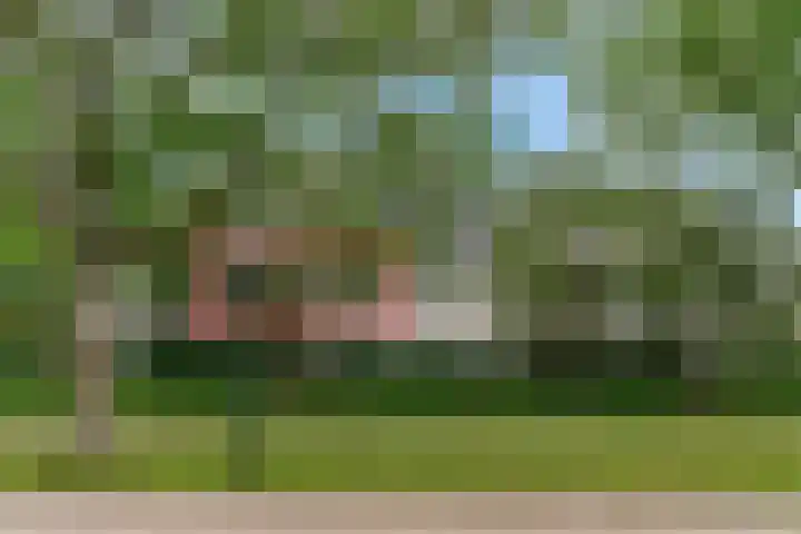 Wattbaan 2 6 Nieuwegein thumbnail 22
