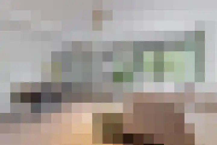 Wattbaan 2 6 Nieuwegein thumbnail 4