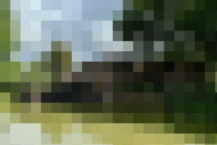 Wattbaan 27 31 Nieuwegein thumbnail 10