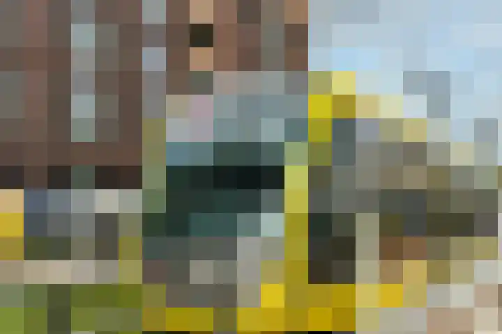 Wattbaan 27 31 Nieuwegein thumbnail 11