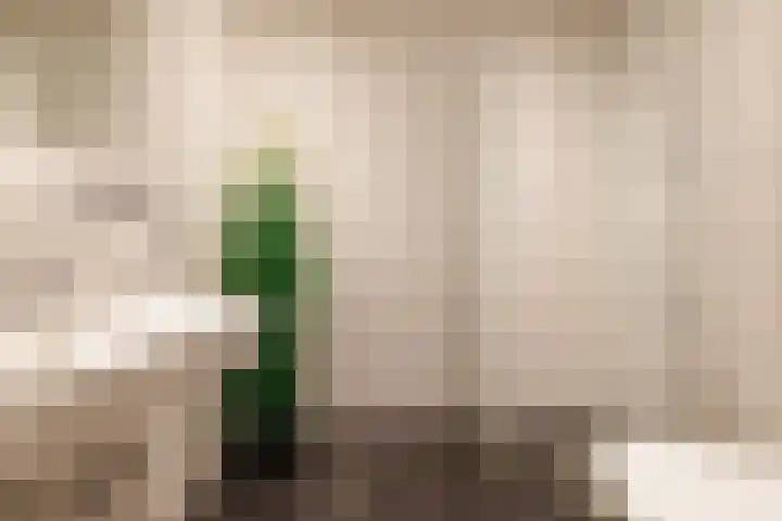Wattbaan 27 45 Nieuwegein thumbnail 8
