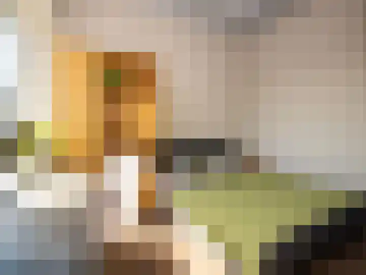 Wattbaan 27 48 Nieuwegein thumbnail 8