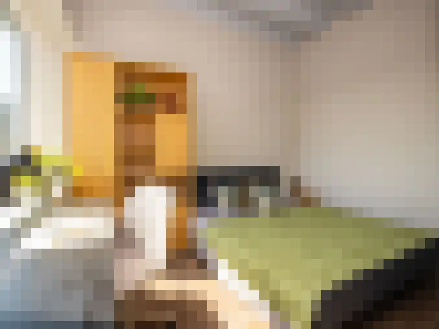 Wattbaan 27 70 Nieuwegein thumbnail 14