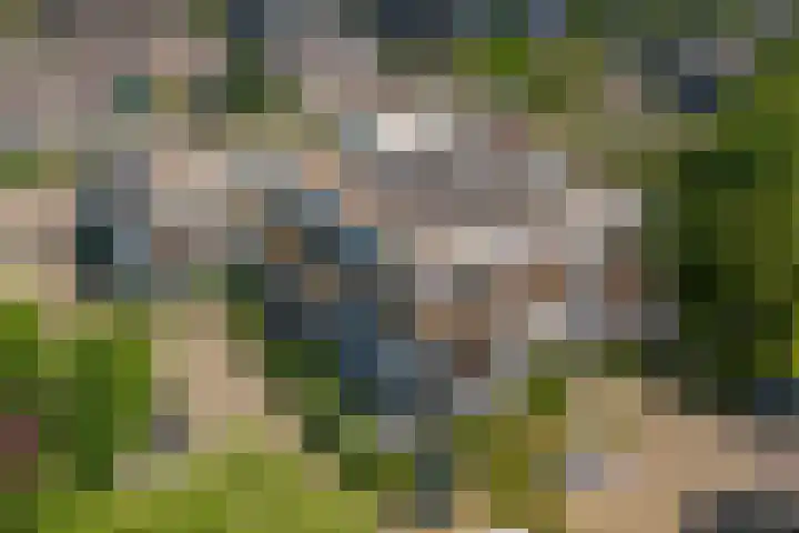 Wattbaan 50 13 Nieuwegein thumbnail 10