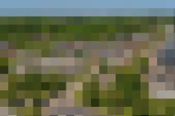 Wattbaan 50 13 Nieuwegein thumbnail 13
