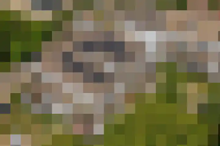 Wattbaan 50 13 Nieuwegein thumbnail 8
