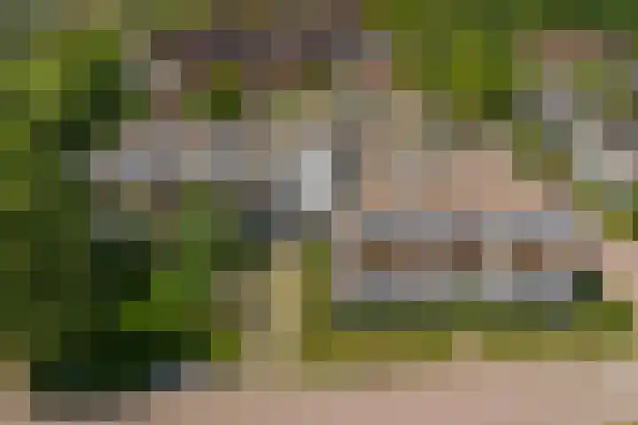 Wattbaan 50 13 Nieuwegein thumbnail 9