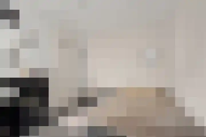 Wattbaan 50 23 Nieuwegein thumbnail 25