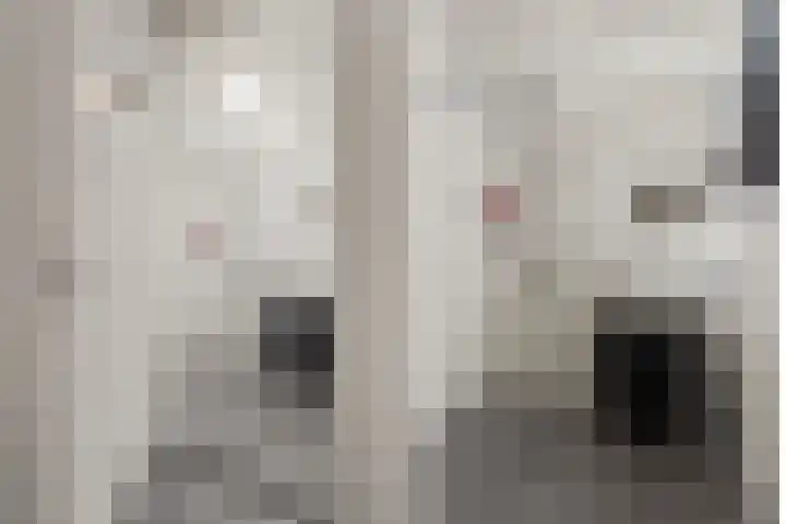 Wattbaan 50 23 Nieuwegein thumbnail 29