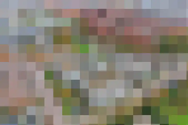 Wattbaan 50 23 Nieuwegein thumbnail 35