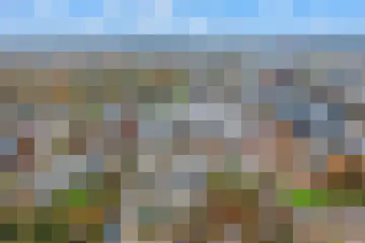 Wattbaan 50 23 Nieuwegein thumbnail 37