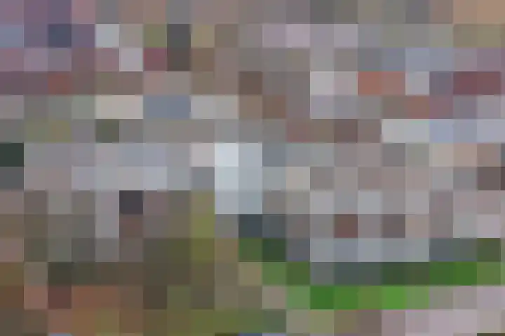 Wattbaan 50 23 Nieuwegein thumbnail 38