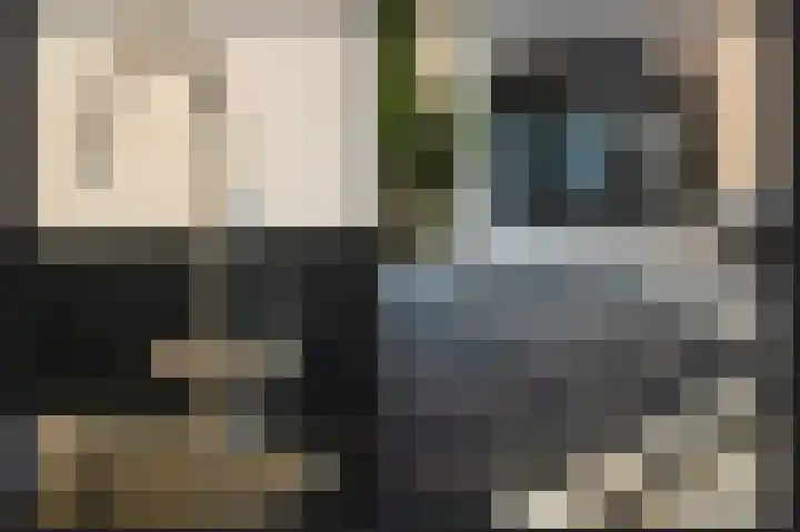 Wattbaan 50 27 Nieuwegein thumbnail 13