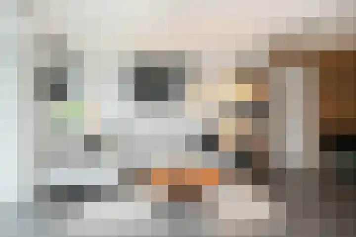 Wattbaan 50 27 Nieuwegein thumbnail 8