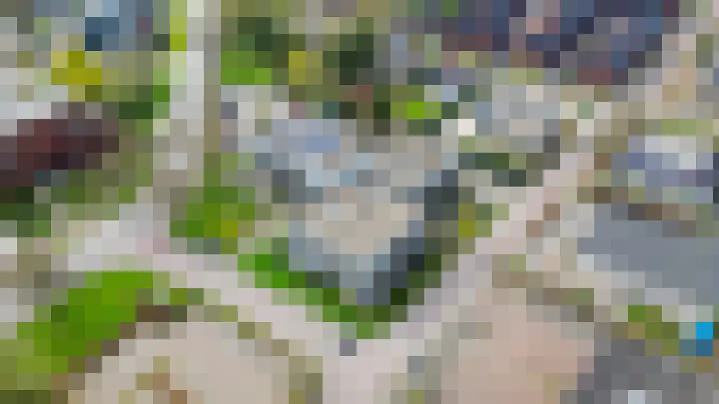 Wattbaan 50 3 Nieuwegein thumbnail 43