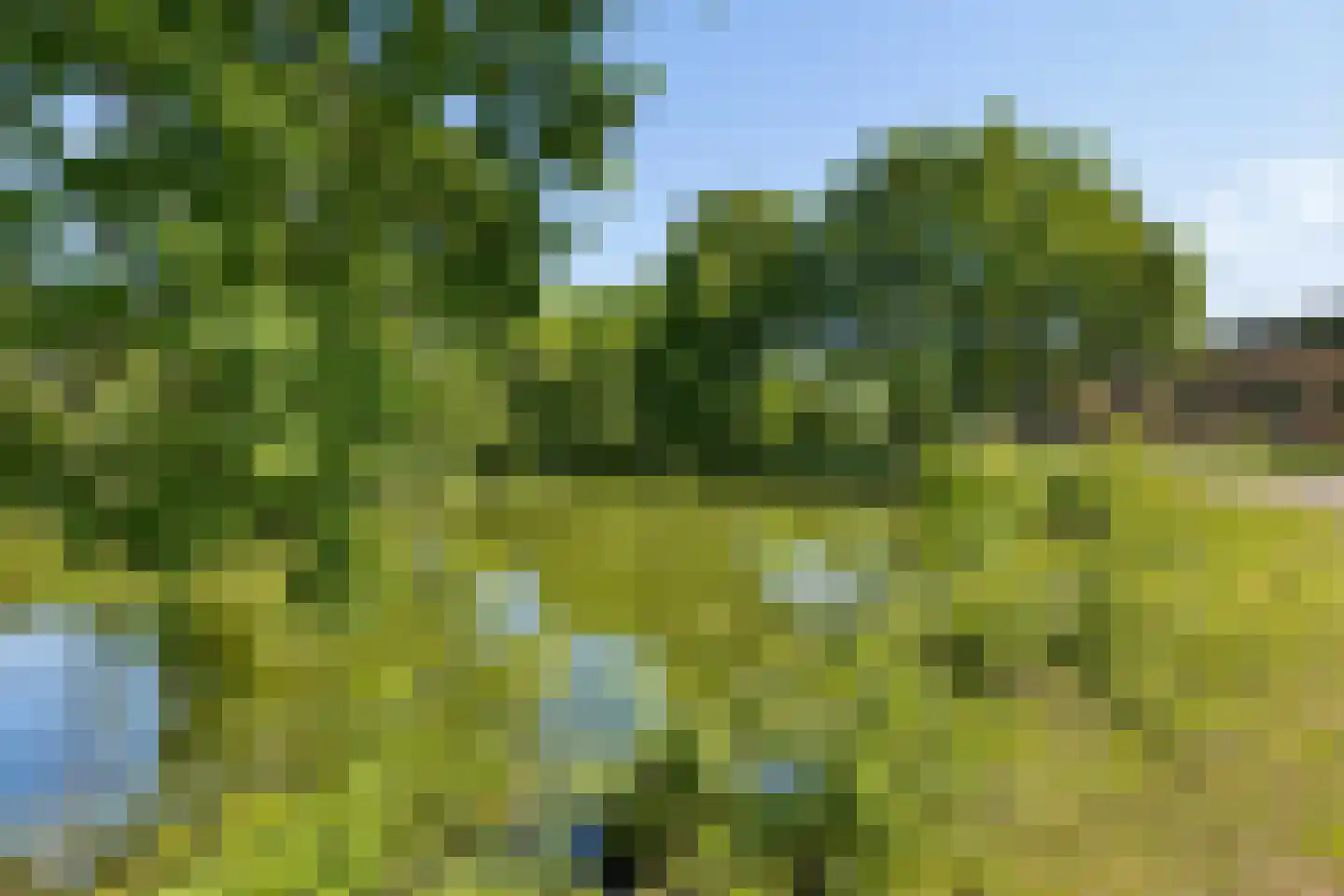 Wattbaan 50 32 Nieuwegein thumbnail 47