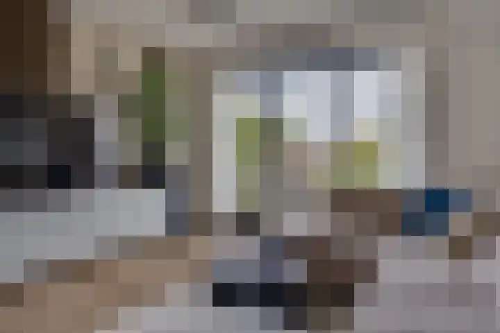 Wattbaan 50 33 Nieuwegein thumbnail 13