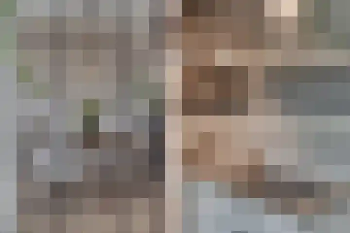 Wattbaan 50 33 Nieuwegein thumbnail 16