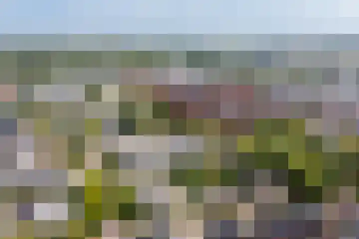 Wattbaan 50 33 Nieuwegein thumbnail 19