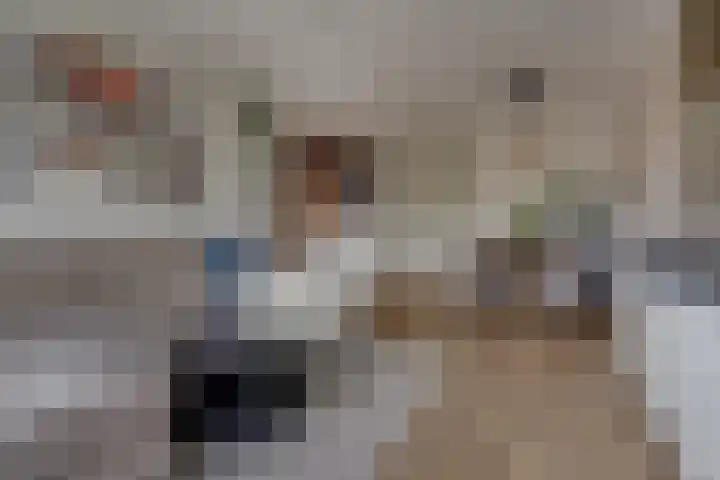 Wattbaan 50 33 Nieuwegein thumbnail 20