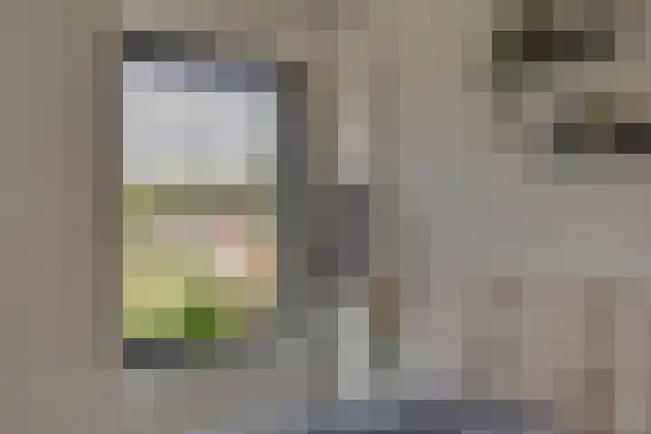 Wattbaan 50 33 Nieuwegein thumbnail 24