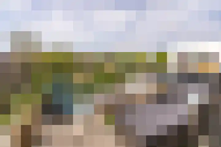 Wattbaan 50 33 Nieuwegein thumbnail 5